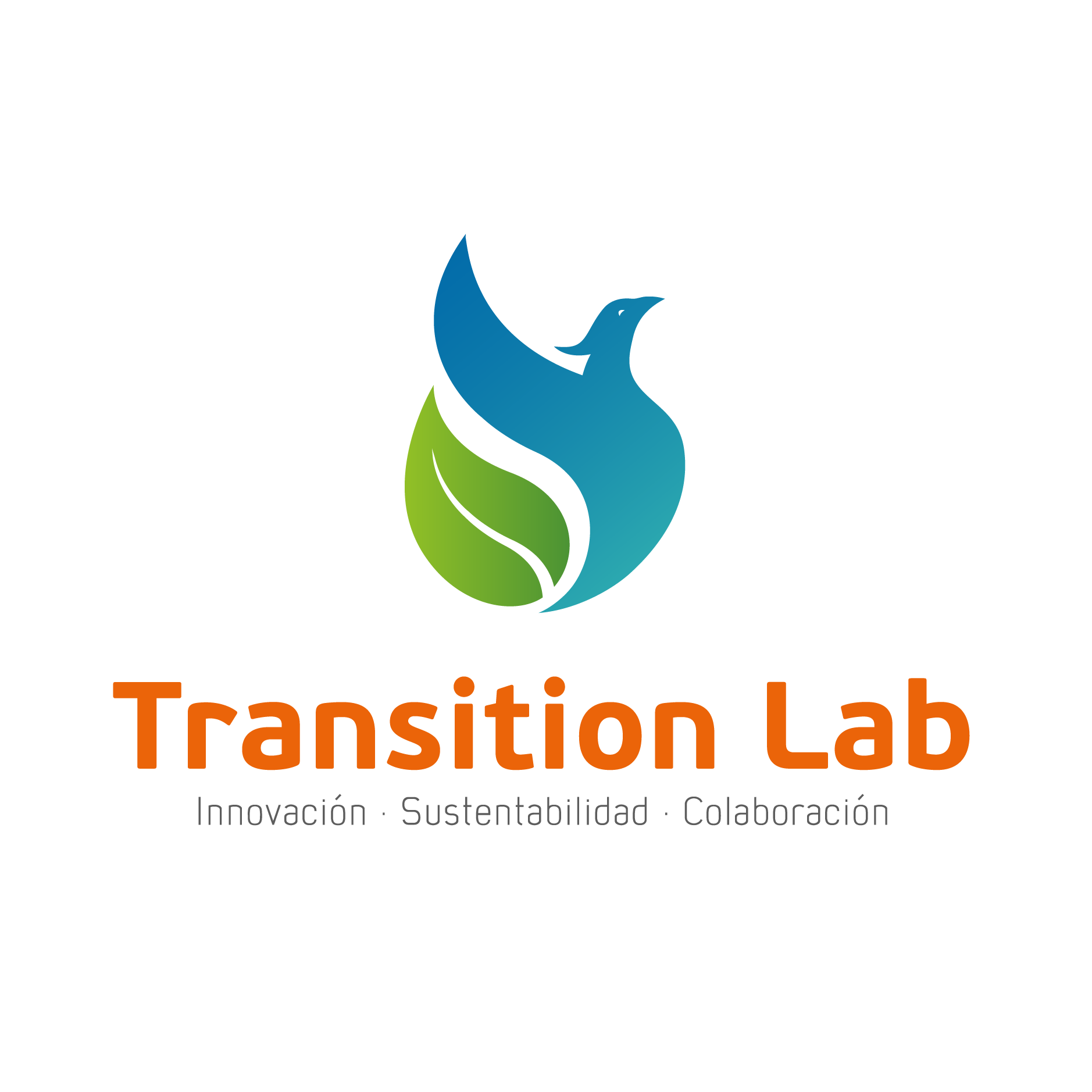 Transition Lab